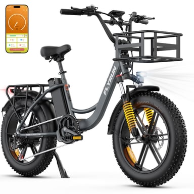 Vélo électrique pour adultes Flyrun F2013 avec batterie amovible 48V 13Ah – Gris