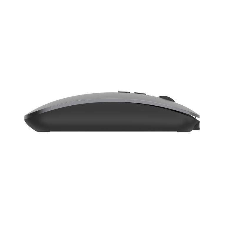 Souris Ewent EW3207 – Ergonomique Ambidextre RF + Bluetooth Optique 1600 DPI 6 Boutons - vue 3
