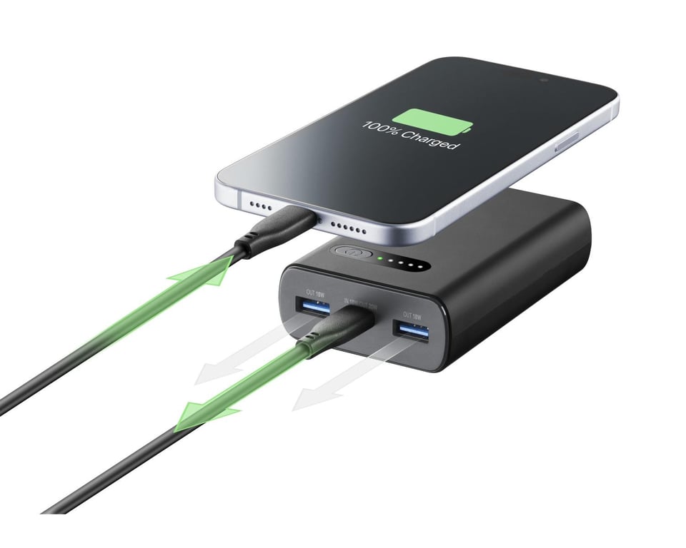 Cellularline PBFAST01PD10000K banque d'alimentation électrique Lithium Ion Li Ion 10000 mAh Neuf - vue 2