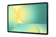 Galaxy Tab S10 FE+ 13,1'' (Wi-Fi) 128Go 8Go, Argent