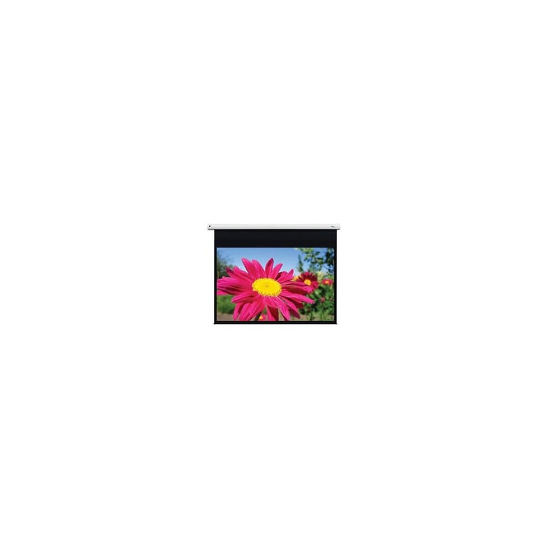 Optoma DE 1095EGAElectr pull down screen 16:10 - vue 3