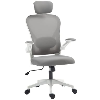 Roline Chaise de Bureau Ergonomique Grise avec Support Lombaire