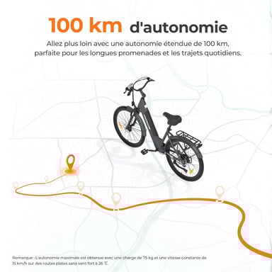 Bicicletta da Città Elettrica Foride Roamer 1 ST, Motore 250W, Batteria 36V 13Ah, Pneumatici 27.5'' X 2.1'', 25 km/h, Autonomia 100 km - Grigio