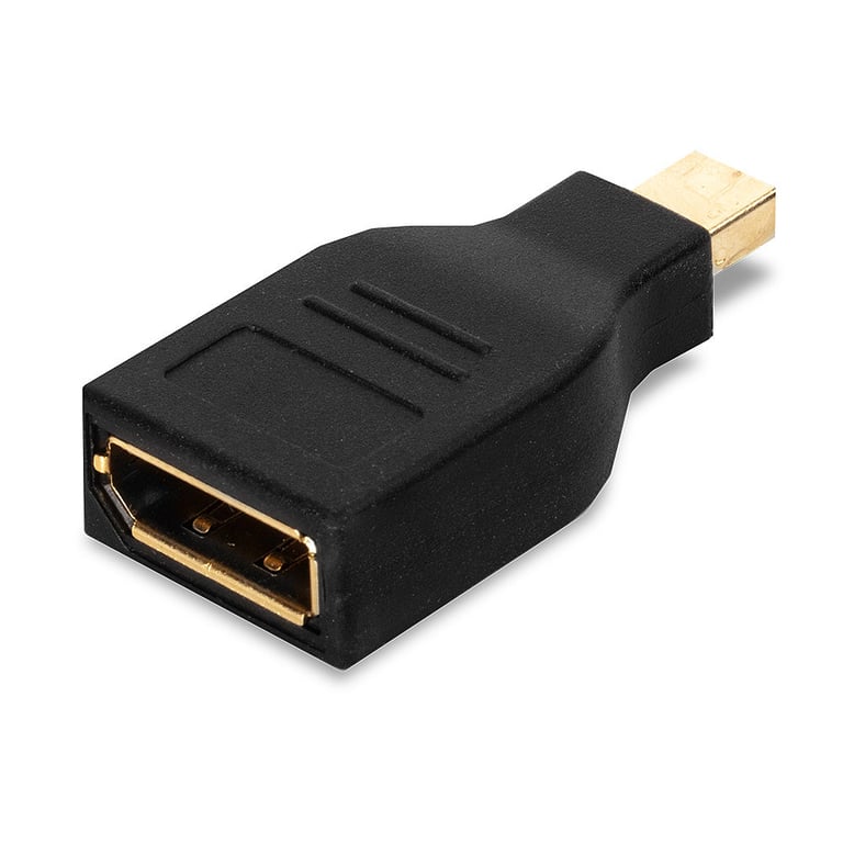 Lindy 41077 changeur de genre de câble Mini Display Port Display Port Neuf