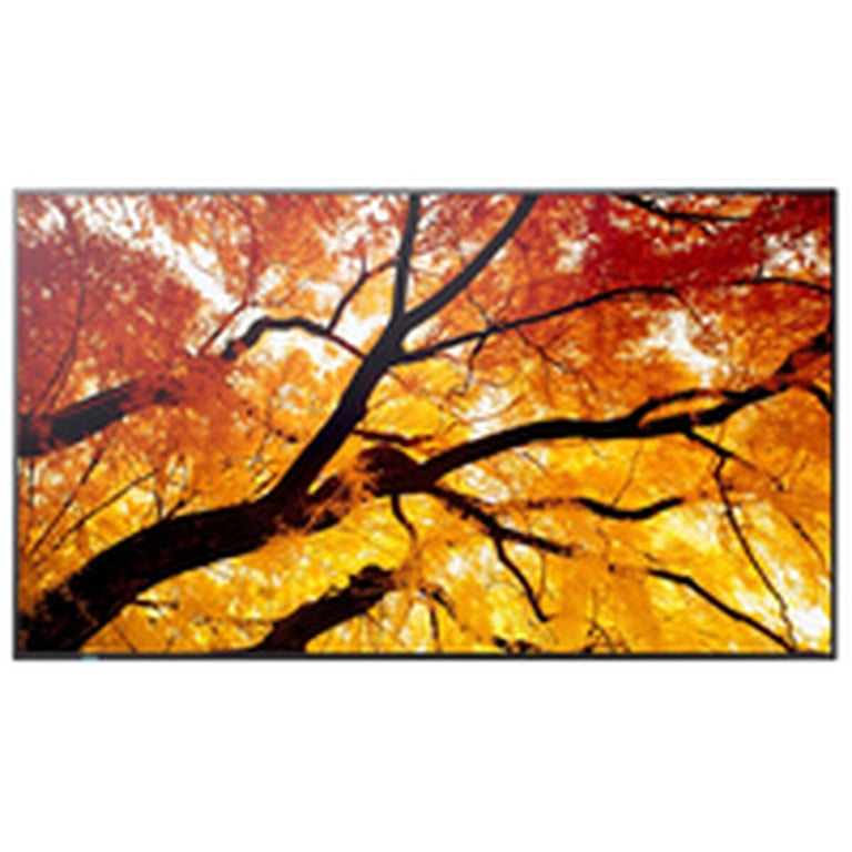 Écran PC NEC MultiSync PN M752 74 5 UltraHD 4K 60Hz IPS USB C Haut parleurs - vue 2