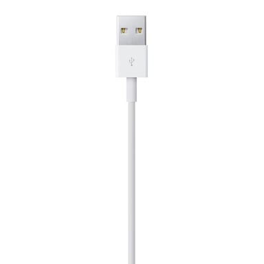 Apple Lightning - USB 2 m Bianco
