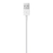 Apple Lightning - USB 2 m Blanc