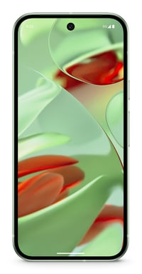 Google Pixel 9 16 cm (6.3'') SIM doble Android 14 5G USB Tipo C 12 GB 128 GB 4700 mAh Verde