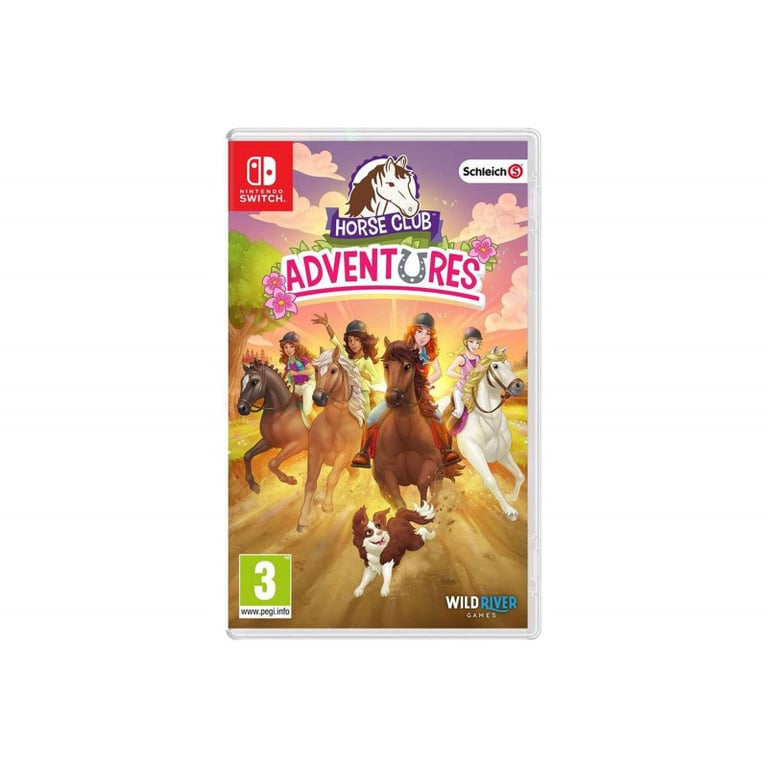 Horse Club Aventures SWITCH - vue 2