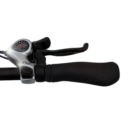 Vivobike M-VF21GR vélo électrique Noir, Gris Aluminium 50,8 cm (20'') 26 kg