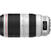 Canon Objectif EF 100-400mm f/4.5-5.6L IS II USM