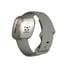 Fitbit Versa Sense Sage Grey Silver AMOLED Digital Pantalla táctil Gris Wifi GPS (satélite)