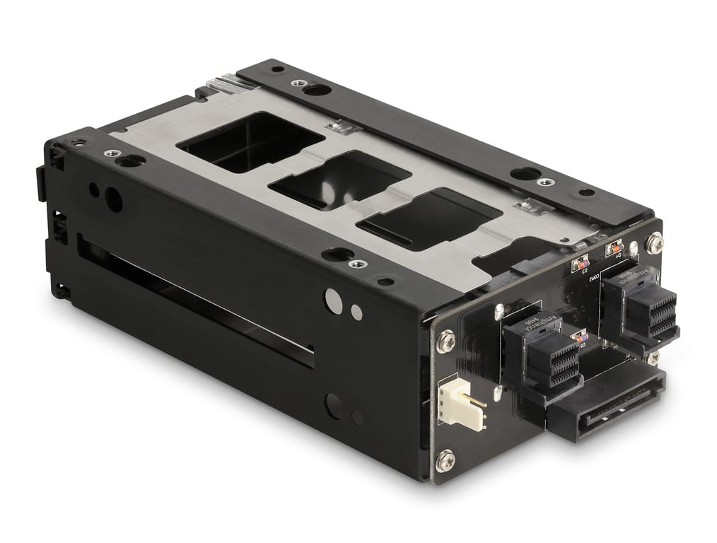 DeLOCK Rack mince et amovible de baie pour 2 x SSD 2.5? U.2 NVMe SSD avec châssis 5.25? Neuf - vue 2