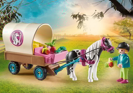 Playmobil Country 70998 jouet