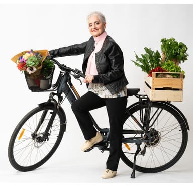 Bicicletta elettrica Nilox 30NXEBCLV1 Multicolore 69,8 cm (27,5'')