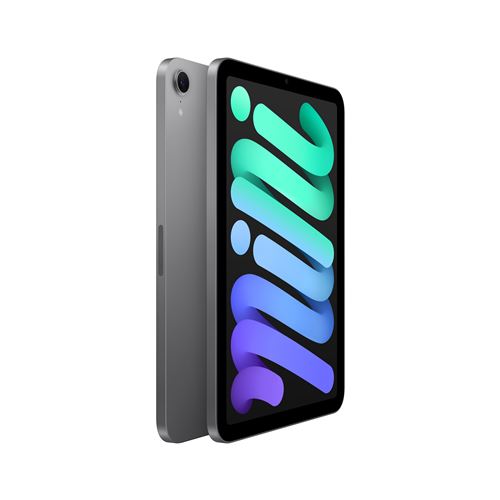 iPad mini 7 (8,3') Wifi 128 Go, Gris sidéral - Neuf
