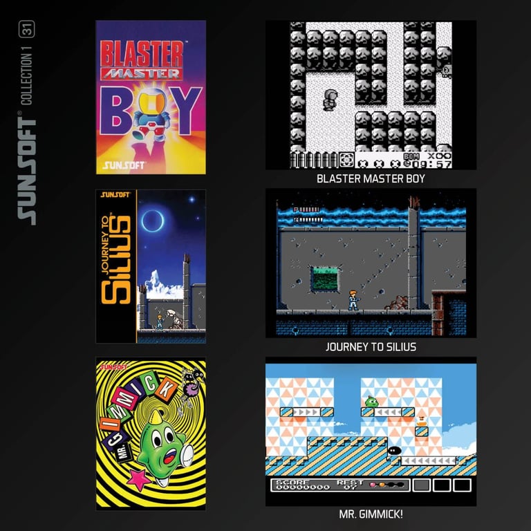 Blaze Evercade Sunsoft Collection Cart 31 Console RETROGAMING - vue 2