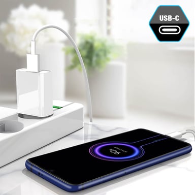 Cargador y cable de alimentación USB-C original de Vivo de 18W blanco
