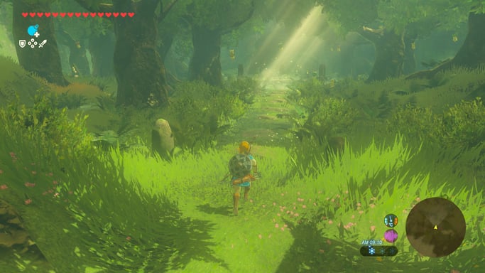 The Legend of Zelda : Breath of the Wild (Switch 2)