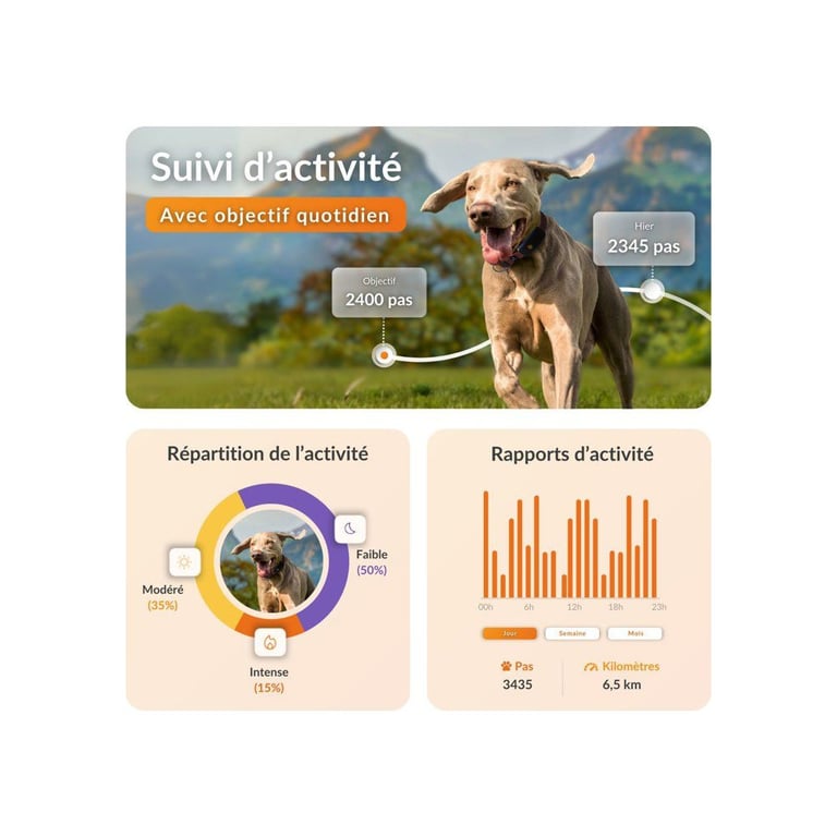 Tracker GPS pour chien Weenect XT — Autonomie 3 semaines, Étanche, Lampe LED — Noir/Orange - Excellent état