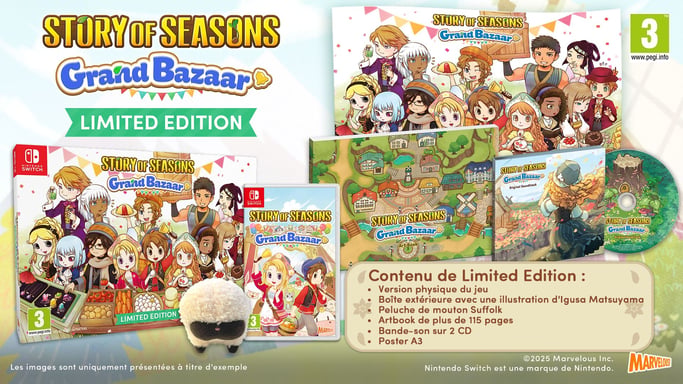 Story of Seasons: Gran Bazar Edición Limitada SWITCH 2
