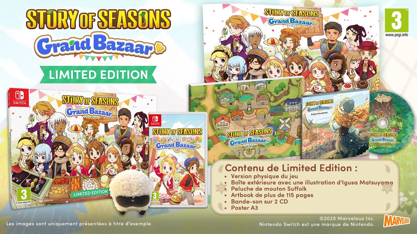 Story of Seasons Grand Bazaar Limited Edition Nintendo Switch - vue 4