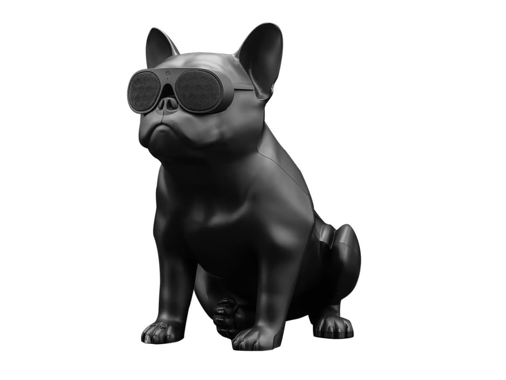 AeroBull XS1 Enceinte sans fil Bluetooth Neuf