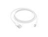 Apple MXLY2ZM/A câble Lightning 1 m Blanc