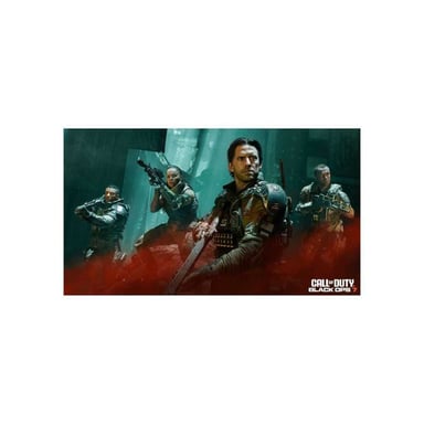 Call of Duty Black Ops 7 (PS4)