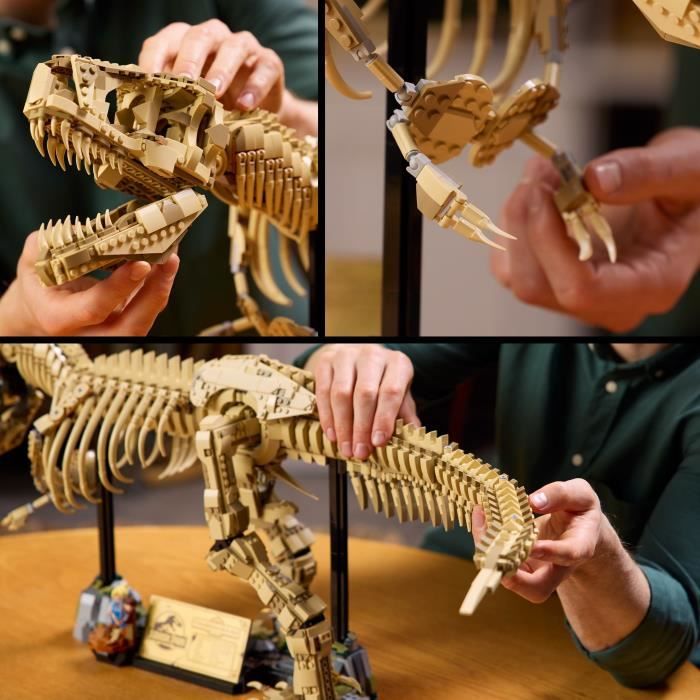 LEGO Jurassic World 76968 Les Fossiles de Dinosaures : le Tyrannosaurus Rex Pour Adulte - vue 3
