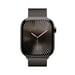 Apple Watch Series 10 (2024) GPS + Cellular, Cassa in Titanio Ardesia da 46mm con Cinturino in Titanio S/M