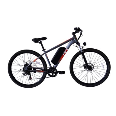 PVY M29 Vélo Électrique - Moteur 250W Batterie 48V17.5AH Pneus 29'' Freins à Disque Mécaniques - Gris