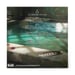 Assassin's Creed Mirage Vinilo - 2LP