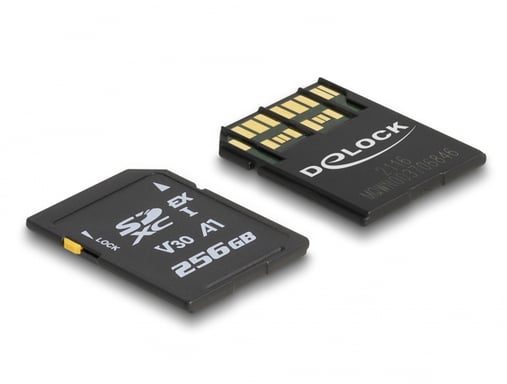 Delock Scheda di memoria SD Express da 256 GB