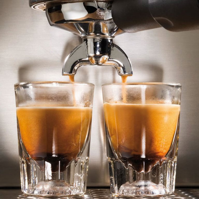Machine expresso Gaggia Classic E24 Inox – acier inoxydable - Neuf