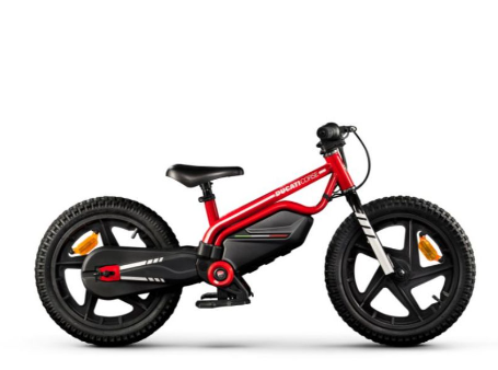 Mini Moto Électrique Ducati 250W – Vitesse Max 16 km/h, Poids 15.5 kg - vue 2