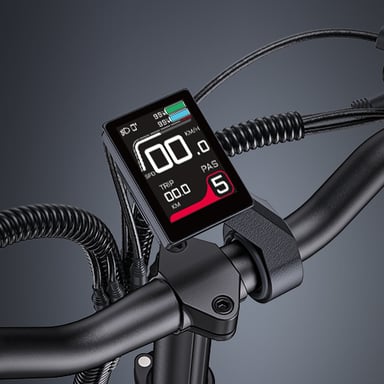 Bicicleta eléctrica de carga ENGWE LE20 de 250 W con sensor de par y transmisión central, 20'', con batería de 48 V y 19,2 Ah-Gris