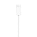 Chargeur MagSafe Apple pour iPhone 1 m Blanc