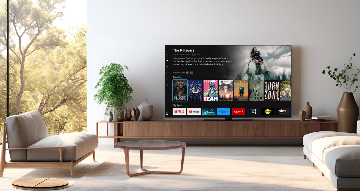 Panasonic TB50W60AEZ - vue 5