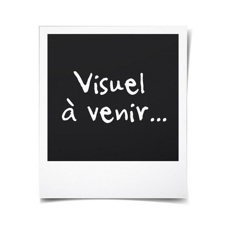 Back To The Future Delorean 70317 Playmobil La Boîte - vue 2