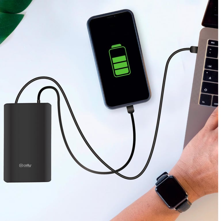 Celly PBPD45W15000BK banque d'alimentation électrique 15000 mAh Neuf - vue 2