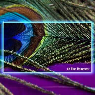 Panasonic -55Z90AEG TV 139,7 cm (55'') 4K Ultra HD Smart TV Nero