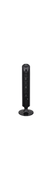 Ventilateur tour DCG Eltronic VE9295 T avec télécommande sans pales