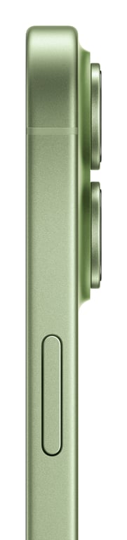 iPhone 17 (5G) 256 Go, Sauge - Excellent état