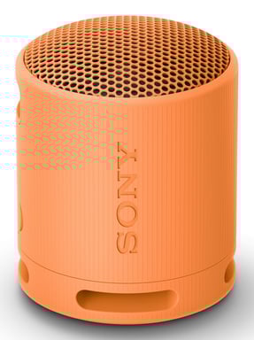 Sony SRS-XB100 Altoparlante portatile mono arancione