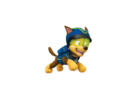 Paw Patrol