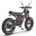 Vélo électrique FAFREES F20 Ultra (Homologation UE L1e-B) - Moteur 750 W batterie 48V25Ah pneu large 20 pouces freins mécaniques - Noir