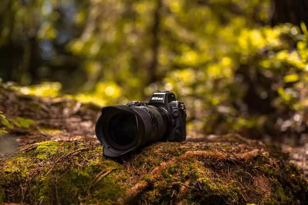 Objectif Hybride Tamron 35-150mm F/2-2.8 Di III VXD – Zoom Polyvalent pour Sony et Nikon - vue 10
