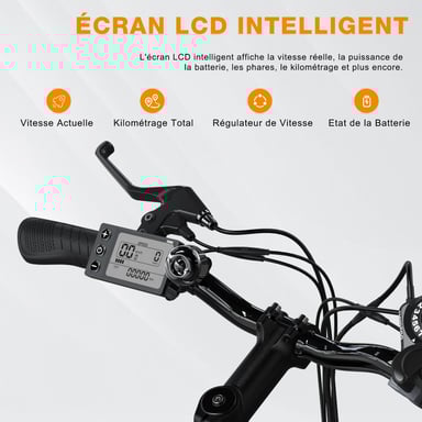 Vélo électrique BK15 Ebike Tout terrain 26 Pouces  7 Transmission Batterie Amovible Adulte Noir