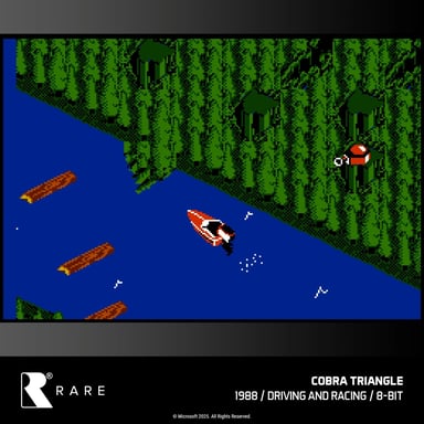 Blaze Evercade - RARE Collection 1 - Cartouche n°48